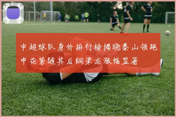 中超球队身价排行榜揭晓泰山领跑申花紧随其后铜梁龙涨幅显著