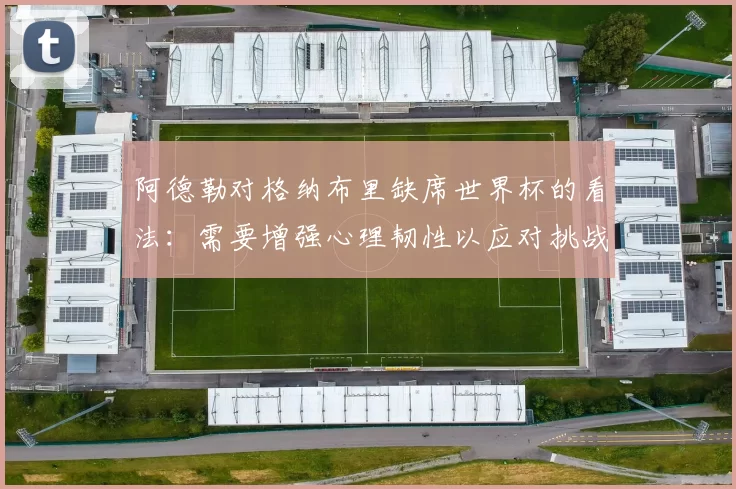阿德勒对格纳布里缺席世界杯的看法：需要增强心理韧性以应对挑战